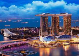 大满贯app2024最新版